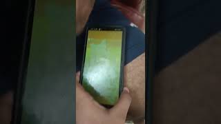 Old Video Of 2022 Caillou The Bravest Wolf Boy Dancing V1, For