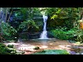 ASMR, Relaxing Nature Sounds
