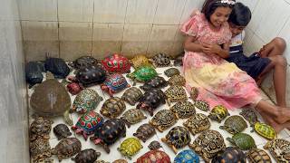 Best Aquarium Cleaning full of Tortoise #aquarium