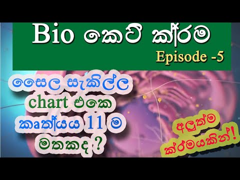 Biology short cuts-part 5- | cytoskeleton-[සෛල සැකිල්ල ]