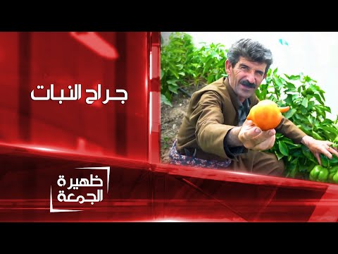 مزارع من حلبجة ينجح بزراعة 3 محاصيل على جذع 1 ظهيرة الجمعة