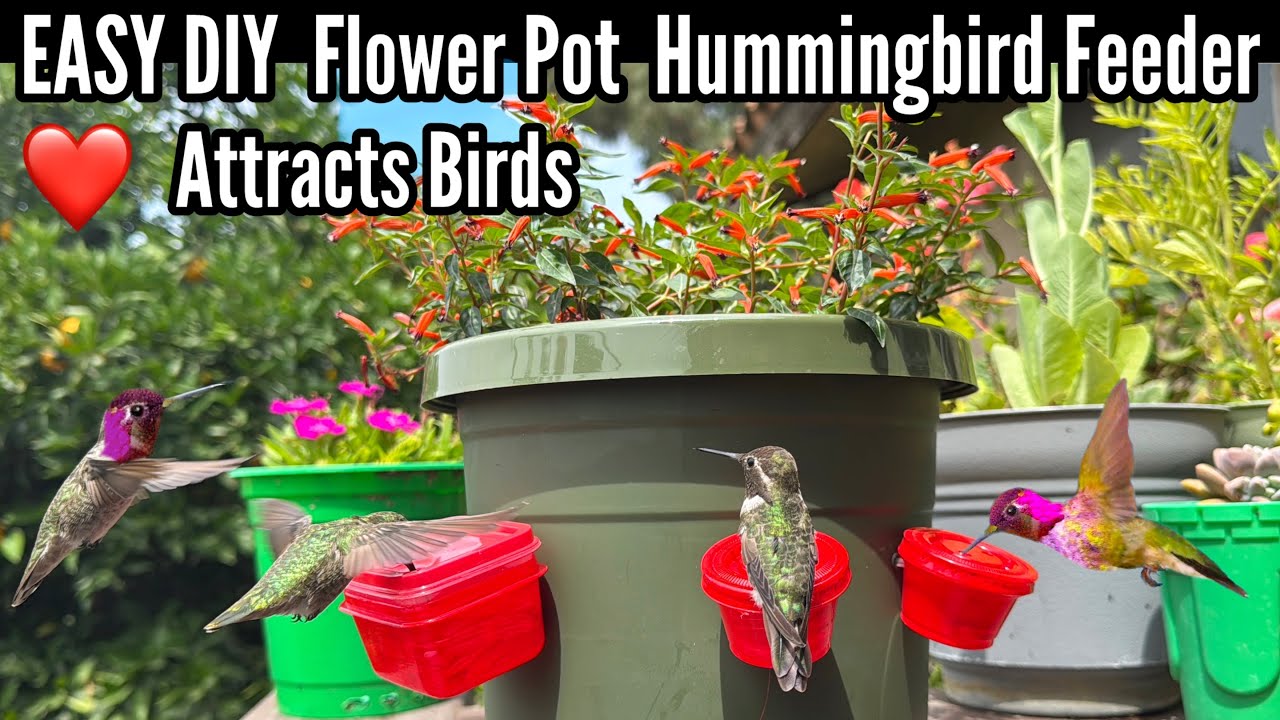 Beautiful $1 Flower Pot Turned into Hummingbird Feeder the Hummingbirds  Love w/ Flowers & DIY Nectar