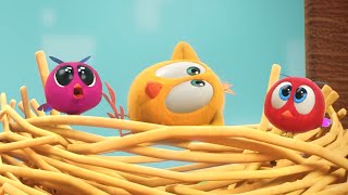 Where&#39;s Chicky? Funny Chicky 2023 | THE NEST | Cartoon in English for Kids | New episodes