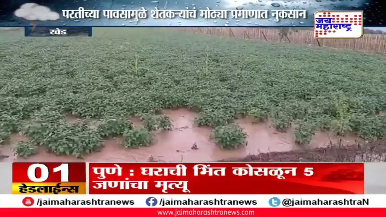 maharashtra news abp Khed: परतीच्या पावसामुळे शेतकऱ्यांचं मोठ्या प्रमाणात नुकसान