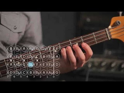 how-to-play-c-♯-/-d-flat-major-scale-|-bass-guitar