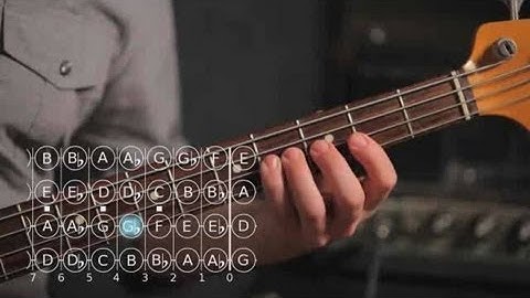 How to Play C ♯ / D Flat Major Scale | Bass Guitar