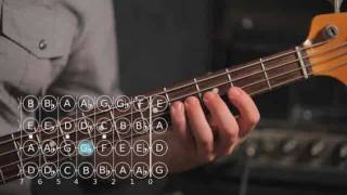 How to Play C ♯ / D Flat Major Scale | Bass Guitar screenshot 5