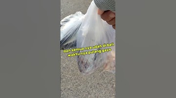 Pasar Lalos Lab. Tolitoli #shortvideo #pasar #tolitoli #fypyoutube