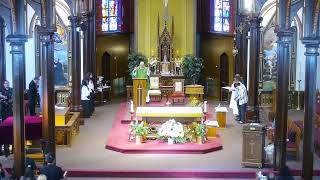 July 19, Sixteenth Sunday in Ordinary Time, Holy Mass in Spanish at 5PM