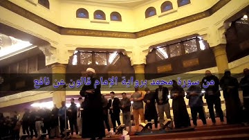 جديد..براوية الإمام قالون | بجودة ونقاء صوت عالية | آخر سورة محمد | يوسف شعبان