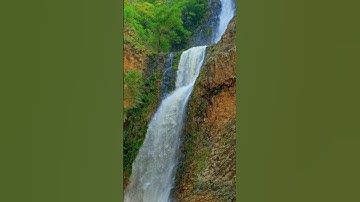 🌊 🌱 Mesmerizing Reverse Waterfall | ASMR Nature in Reverse #ytshortsindia