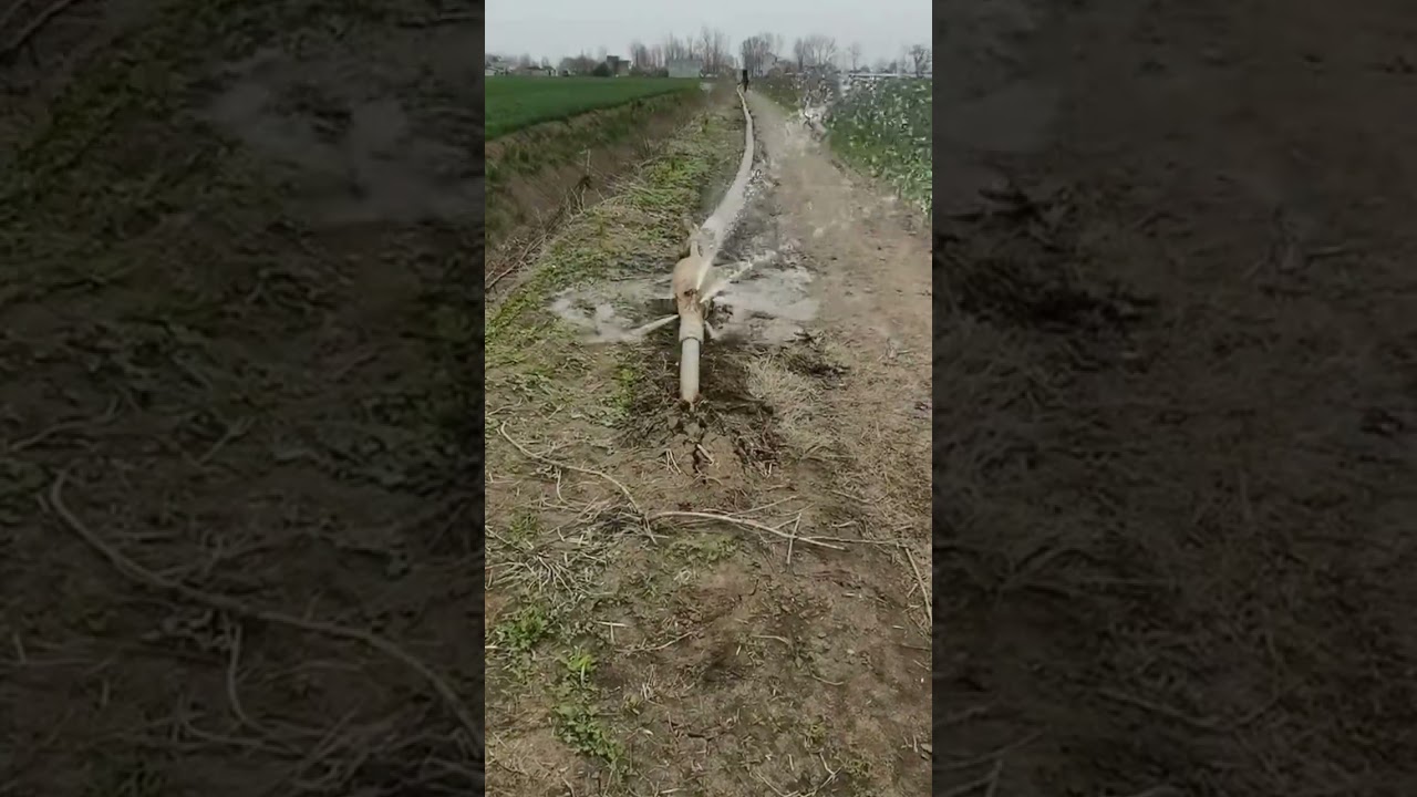 Watch making water holes using very large machines #construction #wall #popular on YouTube Watch making water holes using very large machines #construction #wall #popular on YouTube