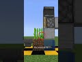 Sugarcane Hack in Minecraft 1.21  #minecraft #minecraftshorts
