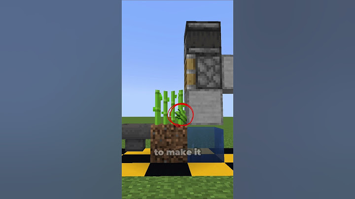 Sugarcane Hack in Minecraft 1.21  #minecraft #minecraftshorts