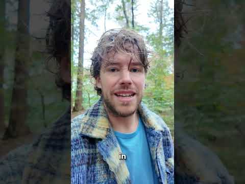 Ontdek hoe je meer waarde uit minder data haalt