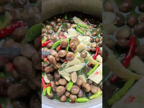 ผลสลากกินแบ่งรัฐบาล วันที่ 1 พย. 2567