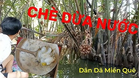 Trải Nghiệm Miền Tây Sông Nước. Món Chè Dừa Nước Đậm Chất Dân Dã Cực Hấp Dẫn!!!