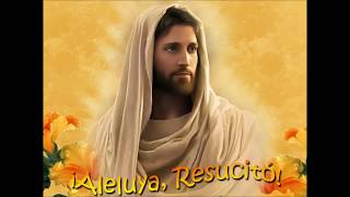 Video thumbnail of "Resucitó, aleluya"