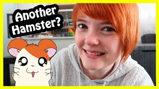 I absolutely did NOT adopt another Hamster... I promise...