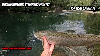 Summer Steelhead Fishing Frenzy Like You've Never Seen!