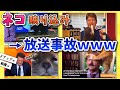 【2ch動物スレ】ニュースに映り込むネコたちがこちらwww
