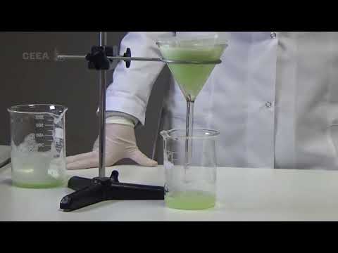 Video: De ce se folosește ceapa pentru extracția ADN-ului?