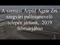 A szentesi Árpád Agrár Zrt. szegvári palántanevelő telepén jártunk, 2019 februárjában