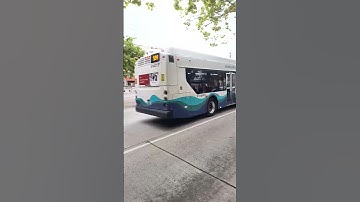 New Flyer Buses in Downtown Seattle on 2nd Ave Ext S