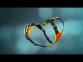 Mantrailing dog harness with elastic leash-holding element
