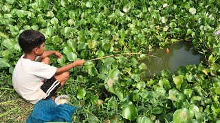Best Fishing Video 2022✅|Little Boy hunting fish by fish hook From beautiful village pond🥰🥰(Part-32)