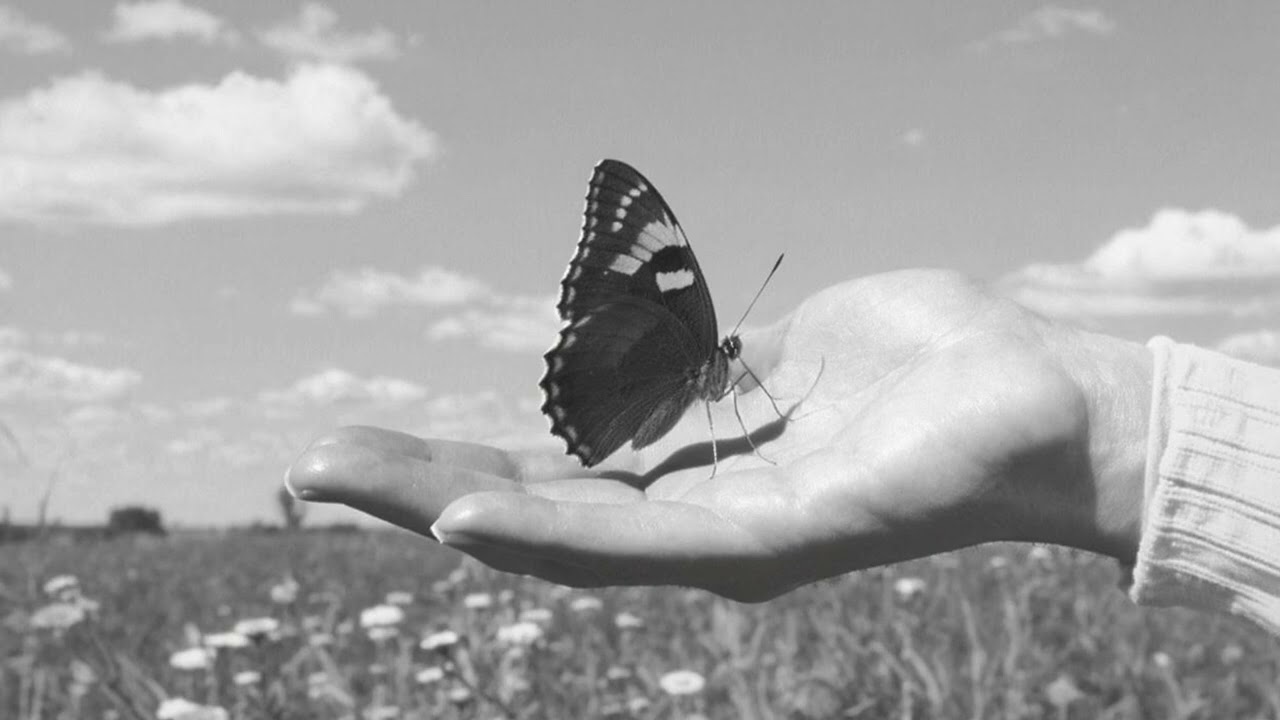 Метелик лети / ukrainian post-punk