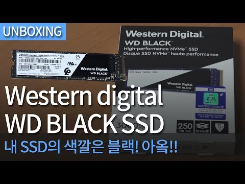 [개봉기] Western digital BLACK NVMe SSD 250GB