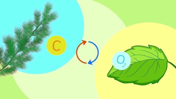 Telefoningizda lezbiyenlarni onlayn tomosha qiling