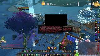 Celebrity turtle wow nordanaar final moments before shutdown Profile