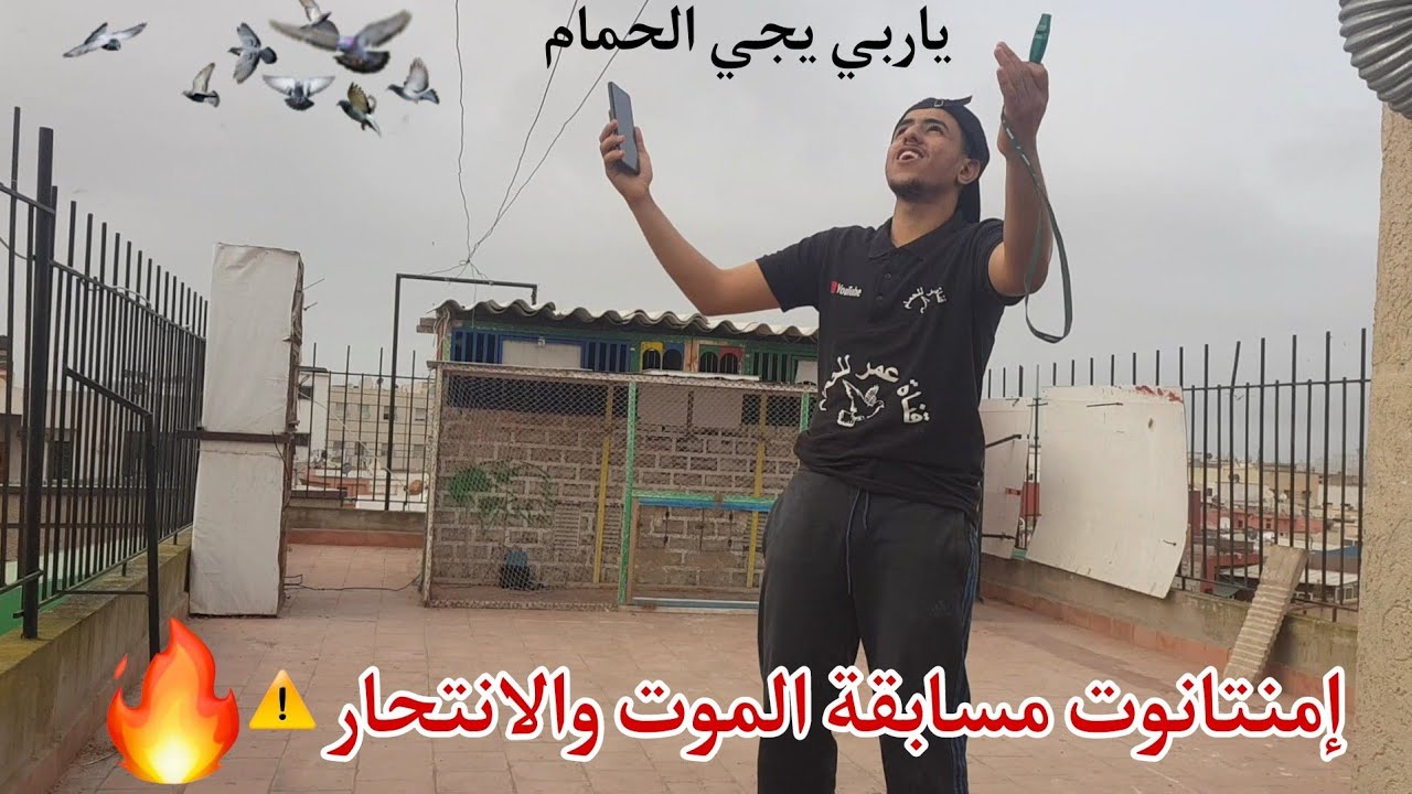 دخول الحمام من مسابقة إمنتانوت🔥مطلق جد صعب🌪الحمام الزاجل الوفي💙