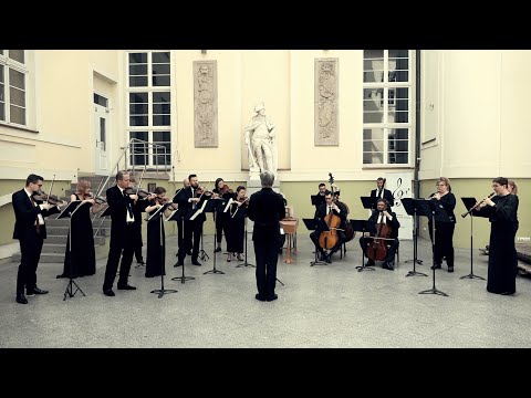 Fragment koncertu z cyklu "Regaty historyczne Fundacji Akademia Muzyki Dawnej" w MNS