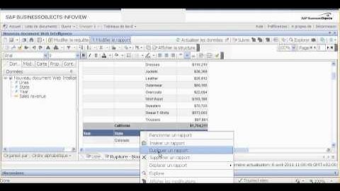 My first Web Intelligence document