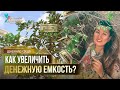 Как увеличить денежную емкость? Денежная СреДа  / Алтынай Капалбаева