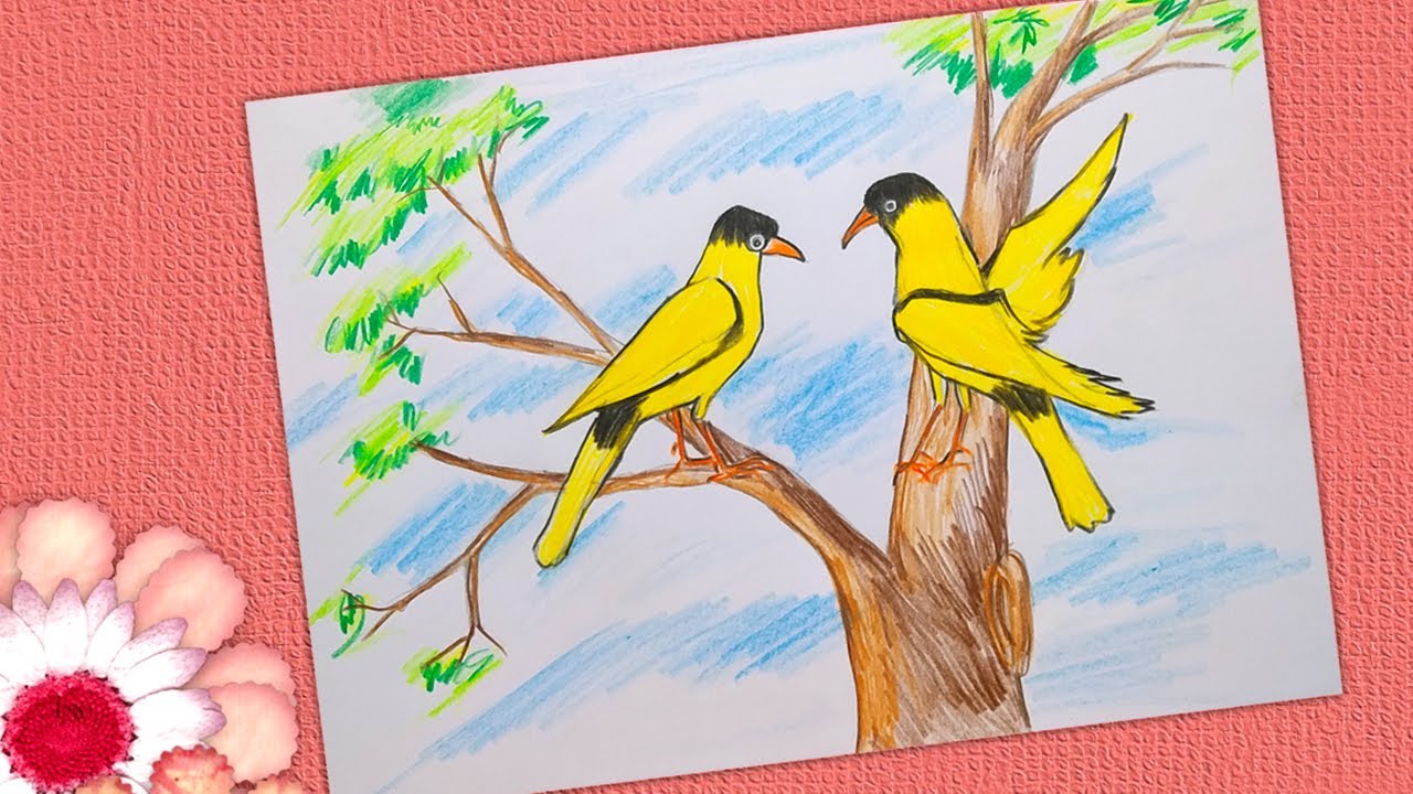 Featured image of post Beautiful Bird Colour Drawing Birds on the ground drawing made from a picture