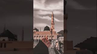#duet #love #live #yaali #beautiful #new #vlog #islamicfestival #alahazratkalambyowaisrazaqadri