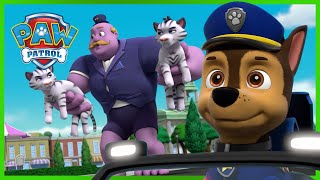 Chase's Best Mighty Pups Rescues and More Episodes! | PAW Patrol | Cartoons for Kids Compilation