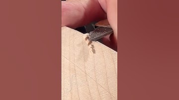 ...carving a cello scroll No 7...today in my workshop No 43 #cello  #cellolove #violinmaking #shorts