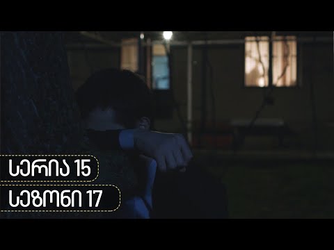 ჩცდ - სერია 15 (სეზონი 17)
