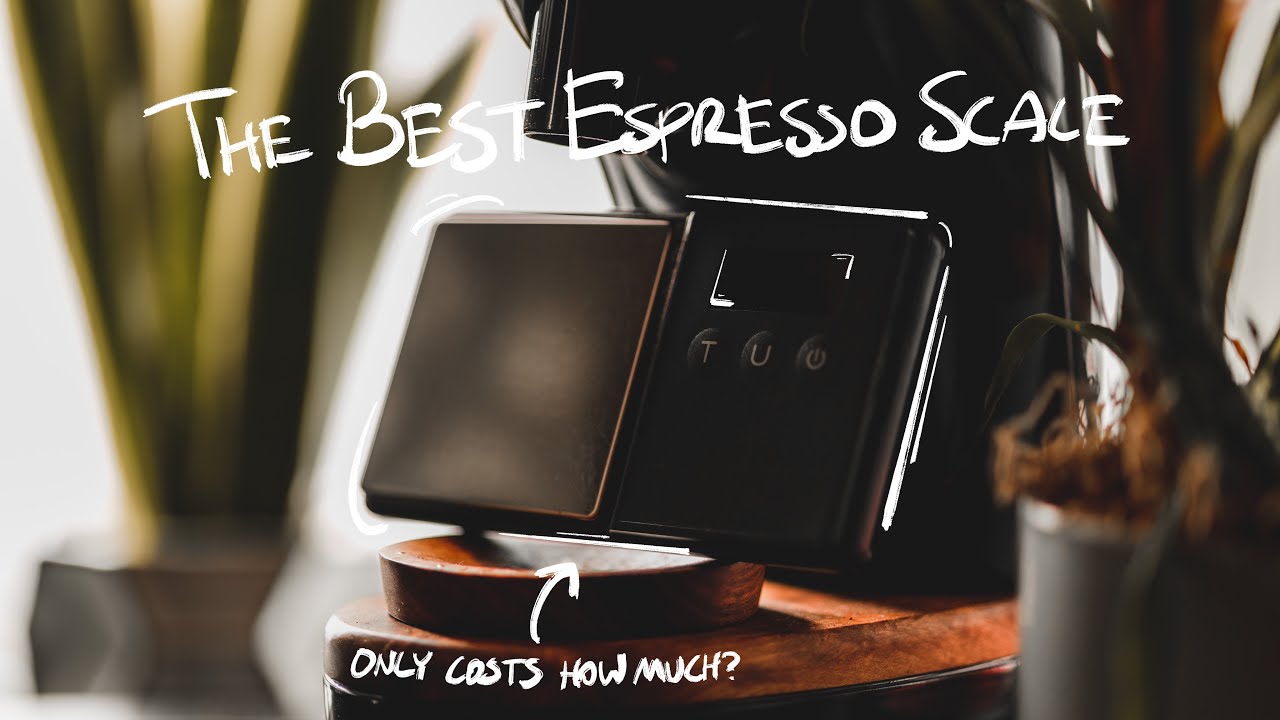 Budget espresso scale find