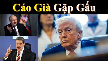 Trump bắt đầu dùng trò chí phèo rạch mặt ăn vạ trong lục Uca đang vỡ trận