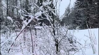 January 31, 2025 Winter