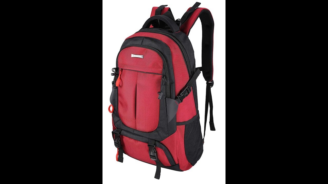 Nasher Miles Vigo Laptop Backpack