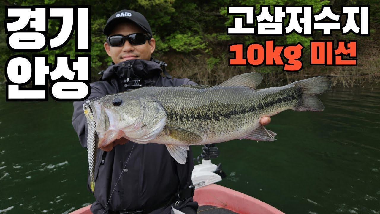 고삼저수지에서 배스 10KG를 잡아라!!