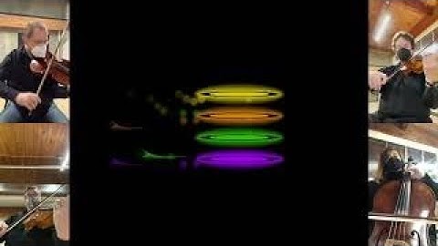 String Quartet op. 18 no. 1 by Beethoven, animation by Stephen Malinowski