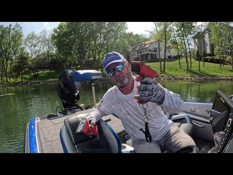 Rapala Touch Screen Scale - Cull like Elite Pro Greg DiPalma - Product  Breakdown - SFTtackle.com 